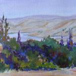Conglomerate Cliffs by NJacquin Acrylic En Plein Air 7in x14in