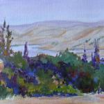 Conglomerate Cliffs by NJacquin Acrylic En Plein Air 7in x14in